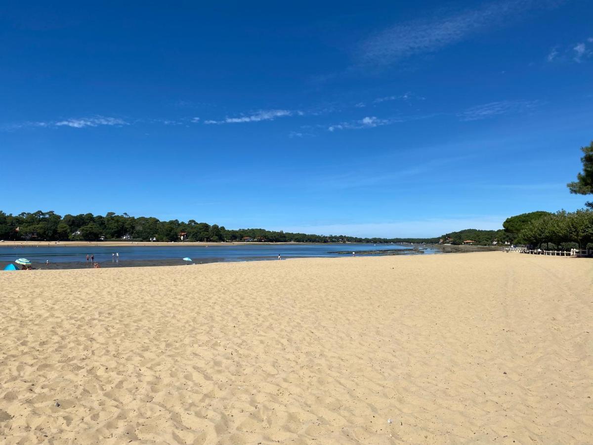 Un Cocon Climatise Au Bord Du Lac D'Hossegor Soorts-Hossegor Eksteriør bilde