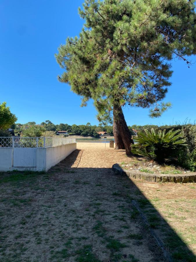 Un Cocon Climatise Au Bord Du Lac D'Hossegor Soorts-Hossegor Eksteriør bilde